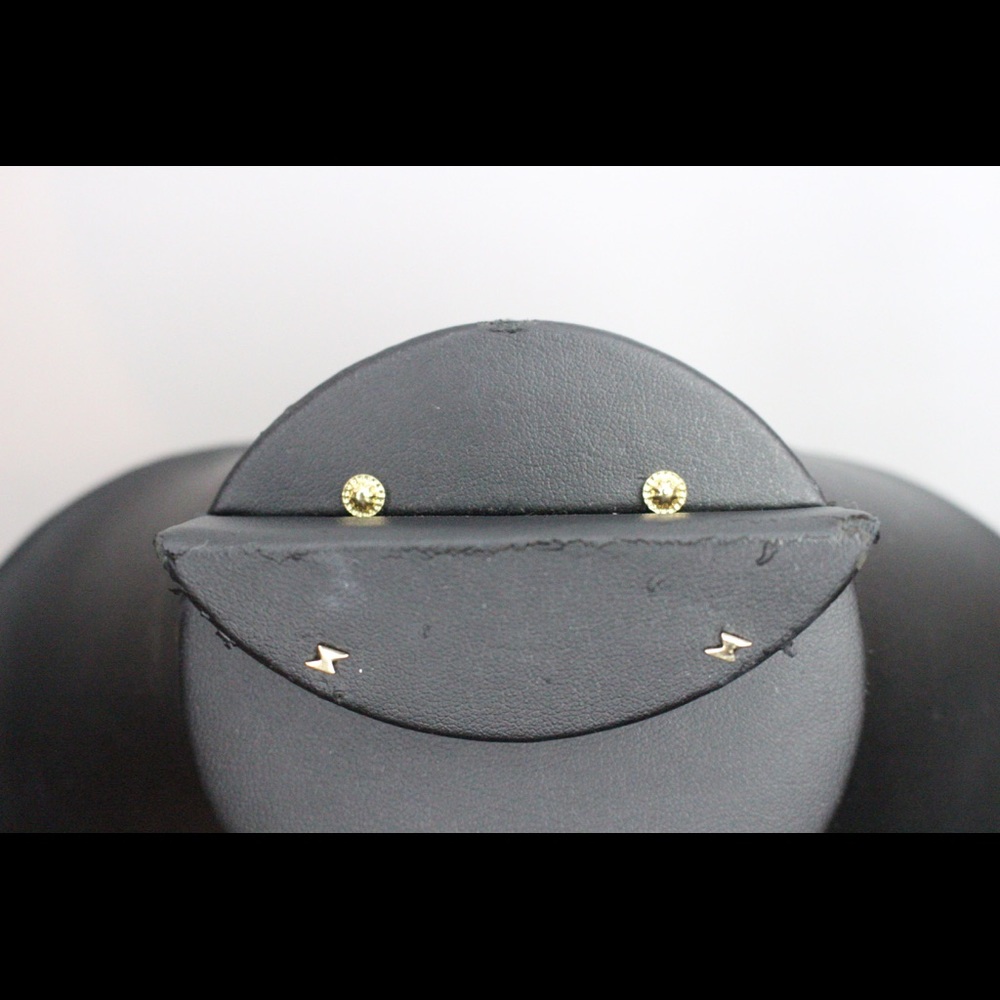 14K Gold Studs Earring